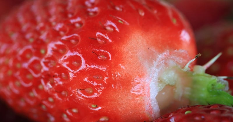 Diese 15 männlichen Schauspieler über 40 dominieren gerade das deutsche Kino