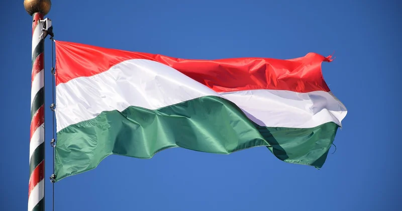 Woher kommt der Begriff „homosexuell"?