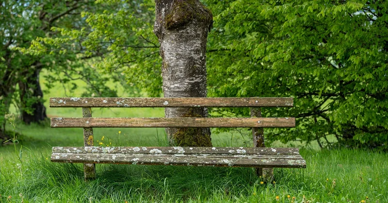 Was kostet die Reparatur? Eine realistische Kostenschätzung