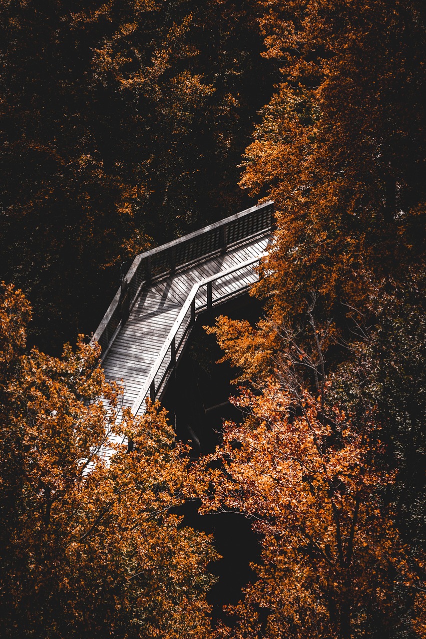 einsamkeit ist ein gef&uuml;hl, das viele menschen erleben. entdecken sie hier ursachen, auswirkungen und wege, um mit einsamkeit umzugehen und wieder mehr lebensfreude zu finden.