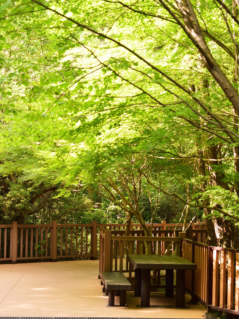 entdecken sie die welt des umami &ndash; der f&uuml;nfte geschmackssinn, der speisen einzigartig w&uuml;rzig und herzhaft macht. erfahren sie mehr &uuml;ber die herkunft, verwendung und bedeutung von umami in der modernen k&uuml;che.